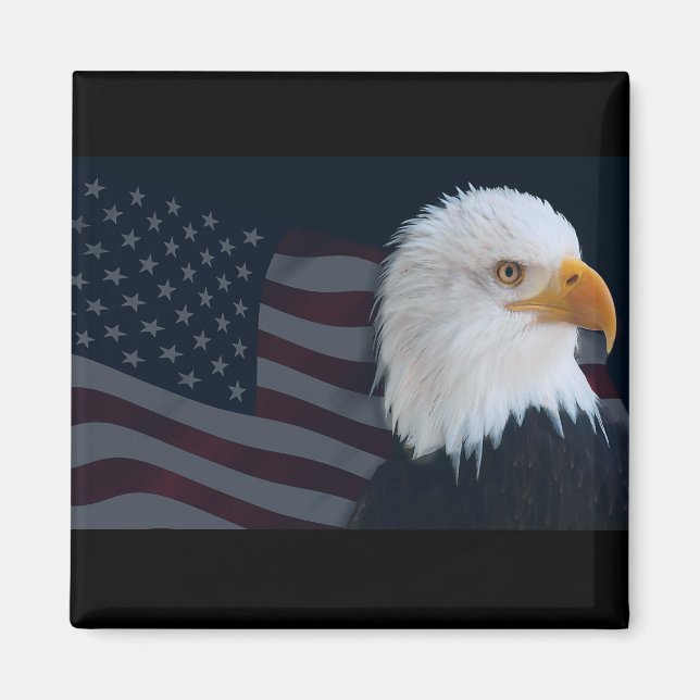Usa Eagle Magnet (Framsidan)