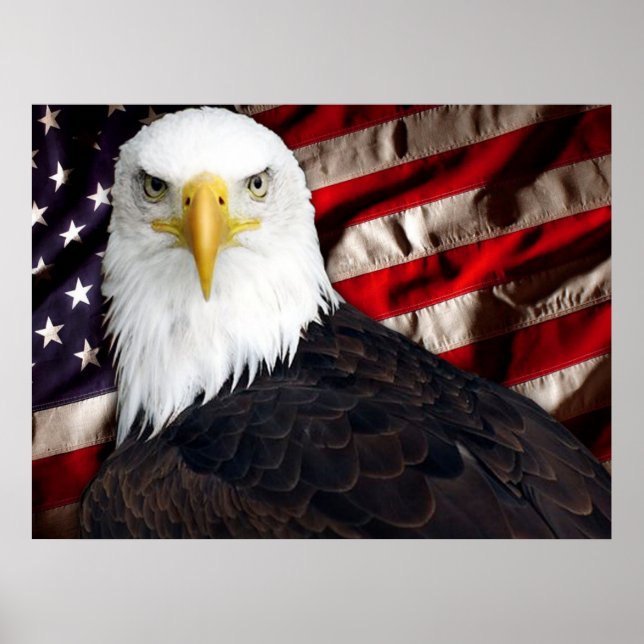 USA Eagle Patriotic Poster (Framsidan)