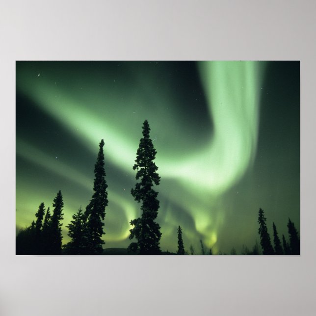 USA, Fairbanks area, Central Alaska, Aurora 2 Poster (Framsidan)