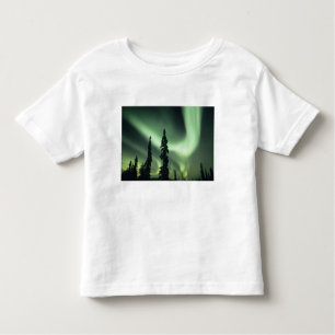 USA, Fairbanks area, Central Alaska, Aurora 2 T-shirt