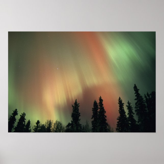 USA, Fairbanks area, Central Alaska, Aurora 3 Poster (Framsidan)
