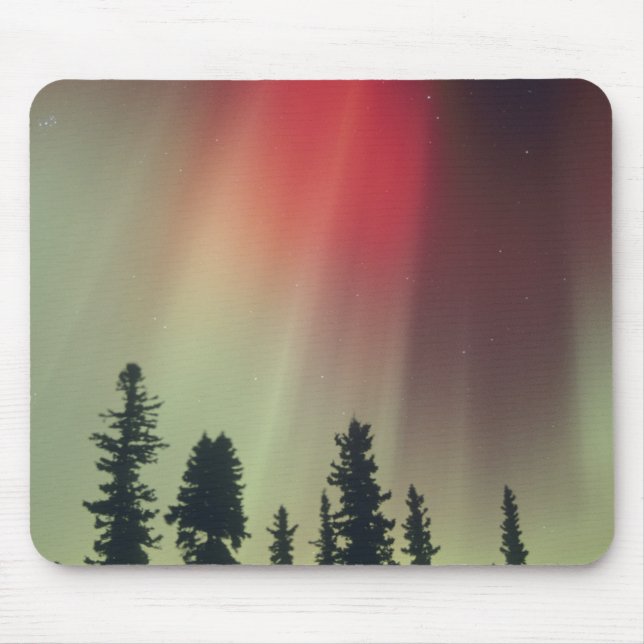 USA, Fairbanks area, Central Alaska, Aurora Musmatta (Framsidan)