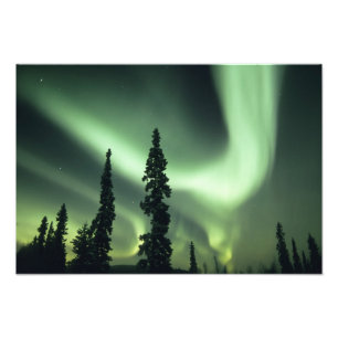 USA, Fairbanks-området, centrala Alaska, Aurora 2 Fototryck