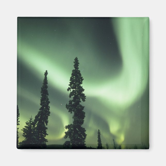 USA, Fairbanks-området, centrala Alaska, Aurora 2 Magnet (Framsidan)