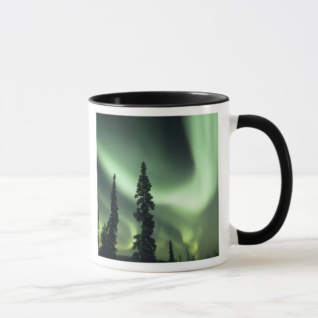 USA, Fairbanks-området, centrala Alaska, Aurora 2 Mugg (Höger)