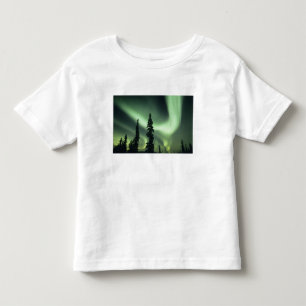USA, Fairbanks-området, centrala Alaska, Aurora 2 T-shirt