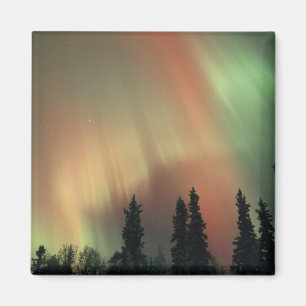USA, Fairbanks-området, centrala Alaska, Aurora 3 Magnet