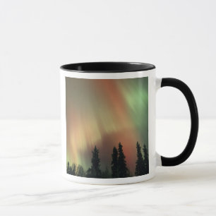 USA, Fairbanks-området, centrala Alaska, Aurora 3 Mugg