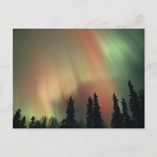 USA, Fairbanks-området, centrala Alaska, Aurora 3 Vykort (Framsida)