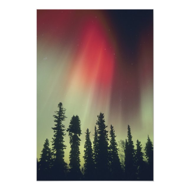 USA, Fairbanks-området, centrala Alaska, Aurora Fototryck (Framsidan)