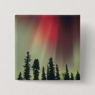 USA, Fairbanks-området, centrala Alaska, Aurora Knapp