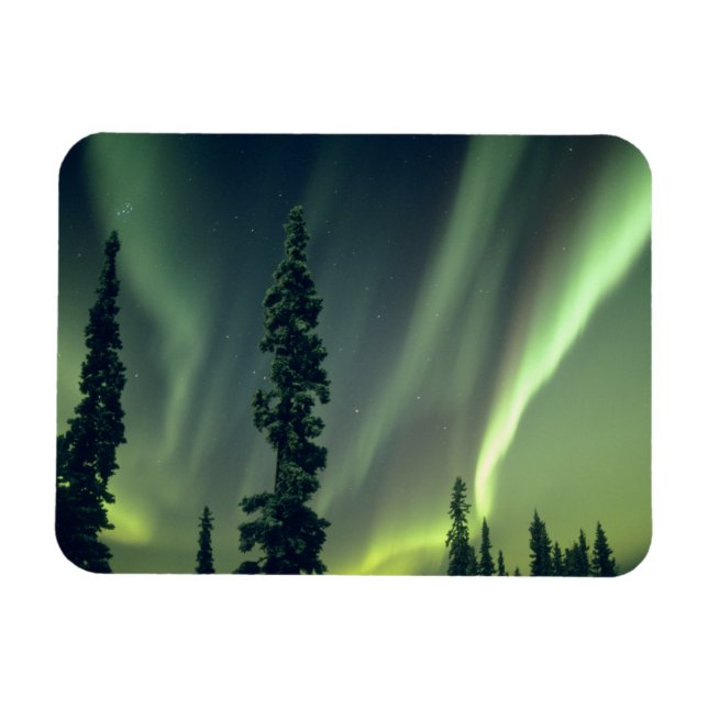 USA, Fairbanks-området, centrala Alaska, Aurora Magnet (Horisontell)
