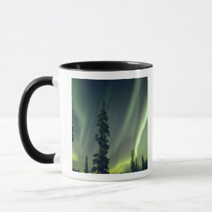 USA, Fairbanks-området, centrala Alaska, Aurora Mugg
