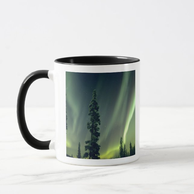 USA, Fairbanks-området, centrala Alaska, Aurora Mugg (Vänster)