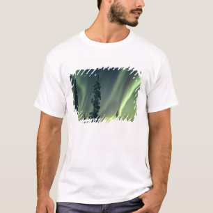 USA, Fairbanks-området, centrala Alaska, Aurora T Shirt