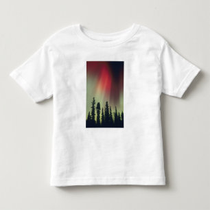 USA, Fairbanks-området, centrala Alaska, Aurora T-shirt