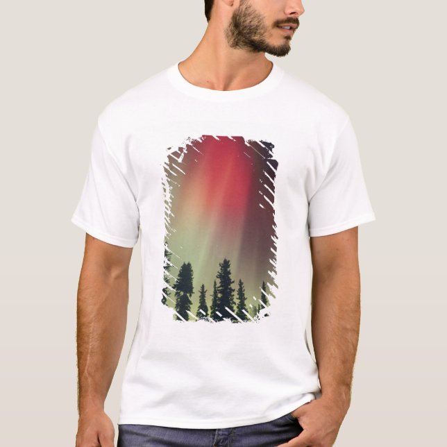 USA, Fairbanks-området, centrala Alaska, Aurora Tee (Framsida)