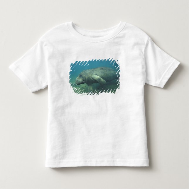 USA, FL, Manatee T-shirt (Framsida)