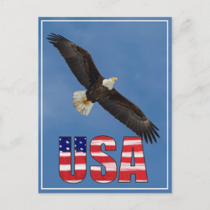 USA flagga och Örn Vykort