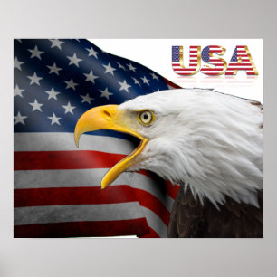 USA flagga-örn Poster
