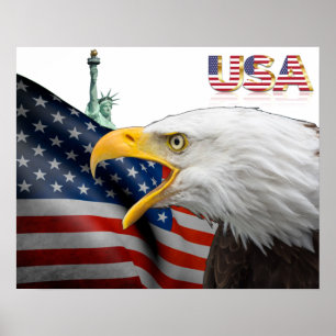 USA flagga-örn poster