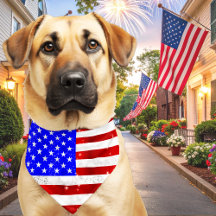 USA flagga patriotisk