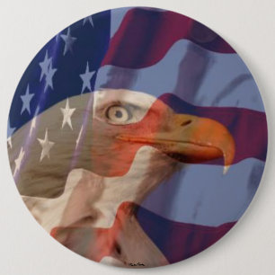 USA flaggan med örnen knäppas Knapp