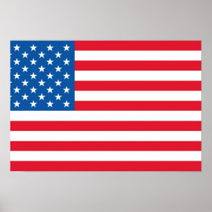 USA flaggastars och stripes Poster