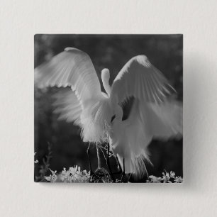 USA, Florida, Ägretthäger (Ardea alba) infraröd 3 Knapp