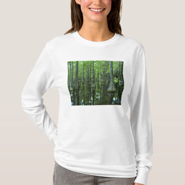 USA, Florida, Apalachicola National Forest, Kalaha Tröja (Framsida)
