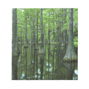 USA, Florida, Apalachicola National Forest, Kalle Anteckningsblock