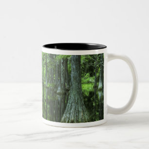 USA, Florida, Apalachicola National Forest, Kalle Två-Tonad Mugg