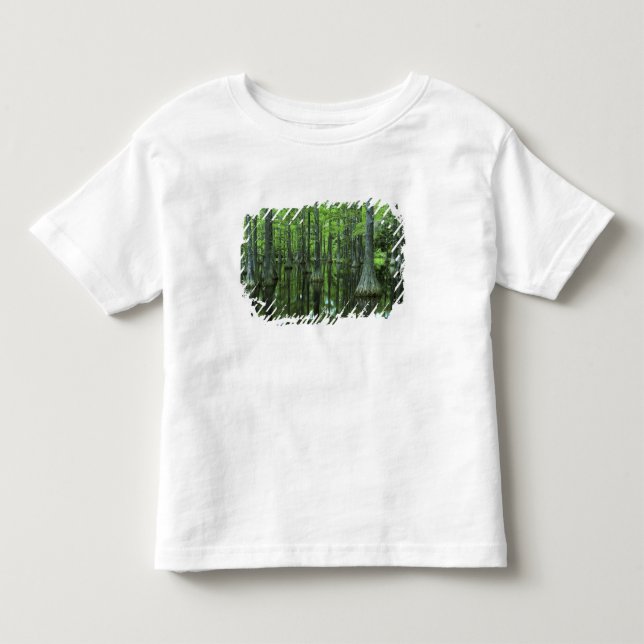 USA, Florida, Apalachicola National Forest, skalli Tee (Framsida)