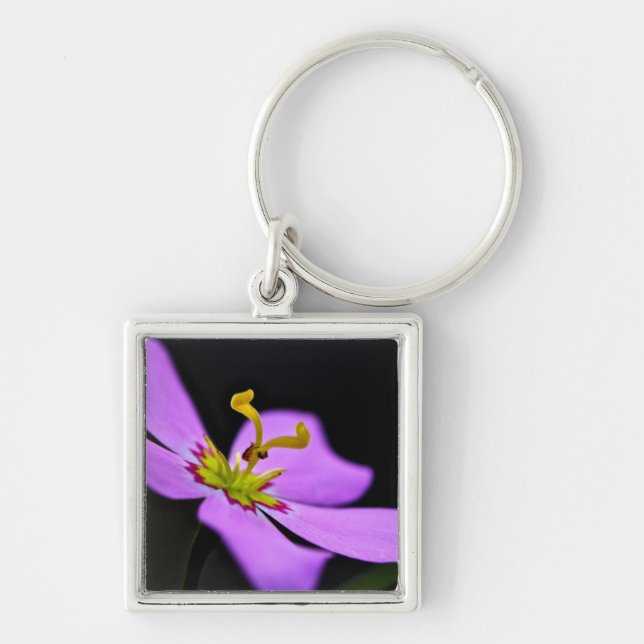 USA, Florida, Big Cypress National Preserve Fyrkantig Silverfärgad Nyckelring (Framsidan)