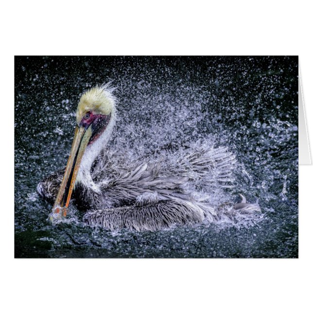 USA, Florida. Brown Pelican Hälsningskort (Framsidan Horizontal)