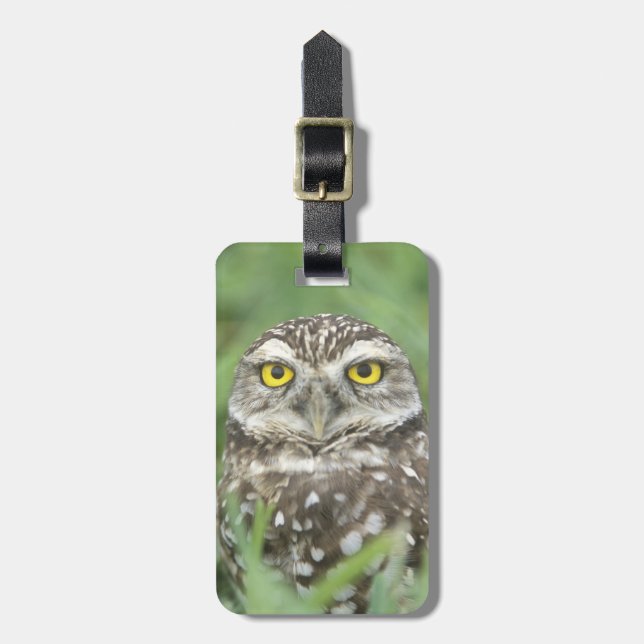 USA, Florida, Cape Coral, Burrowing Uggla (Athene) Bagagebricka (Vertikal Framsida)