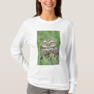 USA, Florida, Cape Coral, Grävuggla (Athene T-shirt