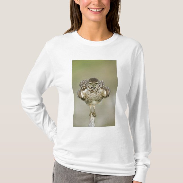 USA, Florida, Cape Coral, Närbild av grävande Tee Shirt (Framsida)
