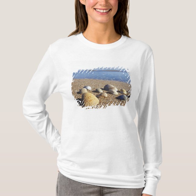USA, Florida, kustsjöskal T Shirt (Framsida)
