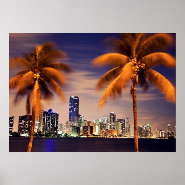 USA, Florida, Miami skyline vid dusk Poster (Framsidan)