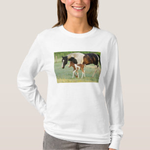 USA, Florida, Nyfödd Paint sto T-shirt