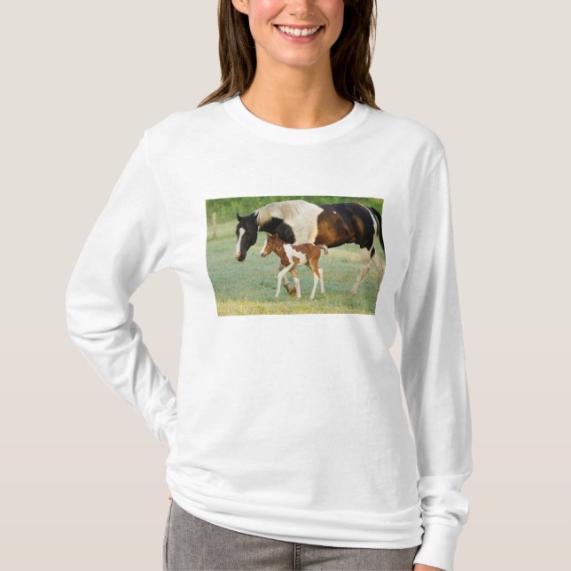 USA, Florida, Nyfödd Paint sto T-shirt (Framsida)