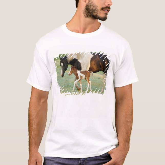 USA, Florida, Nyfödd Paint sto T-shirt (Framsida)