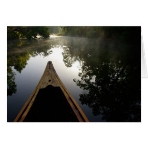 USA, Florida, Ocala National Forest, Alexander Hälsningskort