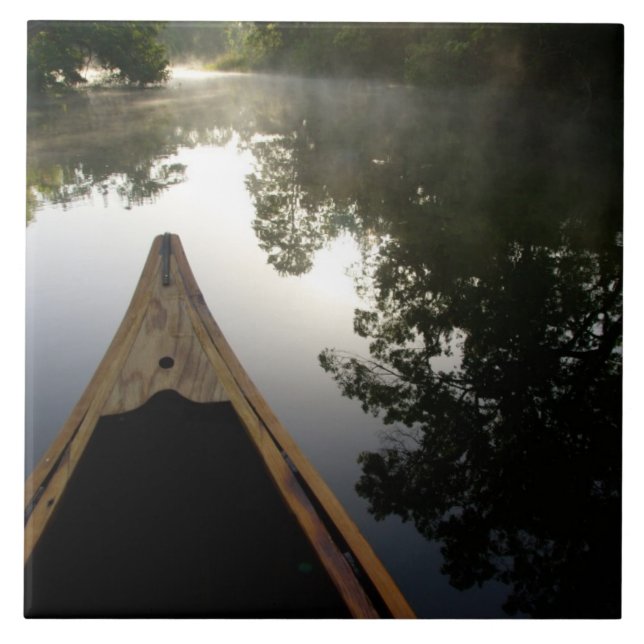 USA, Florida, Ocala National Forest, Alexander Kakelplatta (Framsidan)