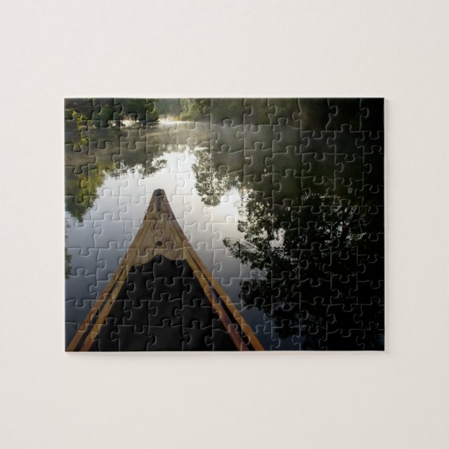 USA, Florida, Ocala National Forest, Alexander Pussel (Horisontell)