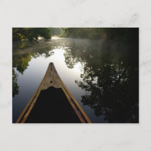 USA, Florida, Ocala National Forest, Alexander Vykort