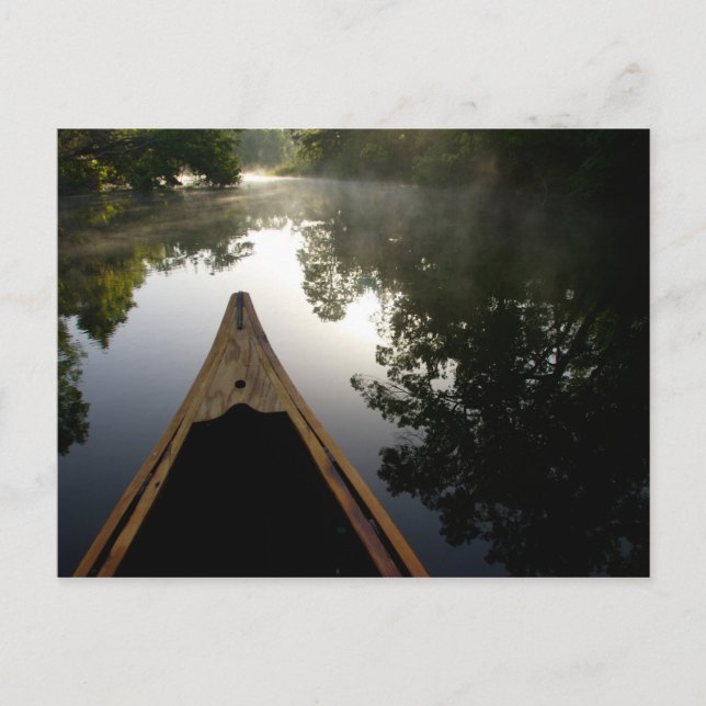 USA, Florida, Ocala National Forest, Alexander Vykort (Framsida)