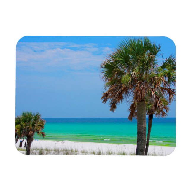 USA, Florida. Palmträd på Emerald Coast Magnet (Horisontell)