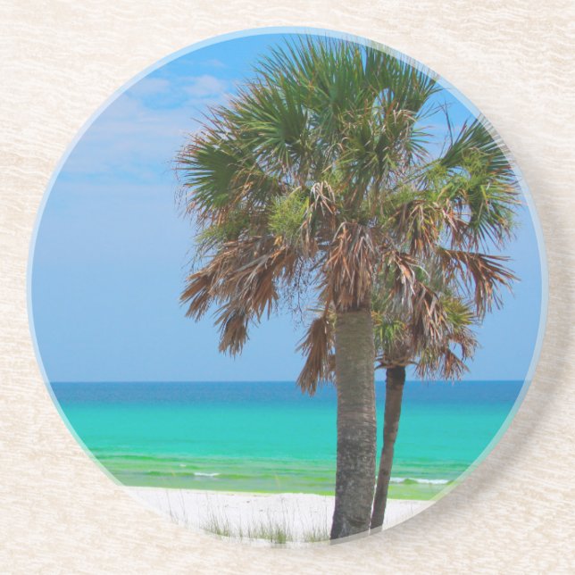 USA, Florida. Palmträd på Emerald Coast Underlägg (Framsidan)